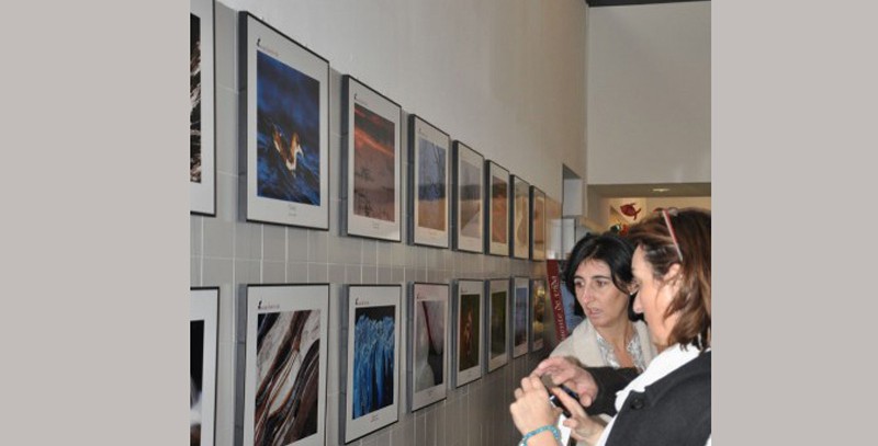 Semana Ciencias en Los Tilos